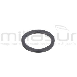 ANILLO TORICO