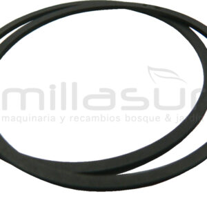 ARO PISTON 48 x 1,2