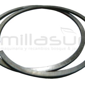 ARO PISTON 49 x 1,2