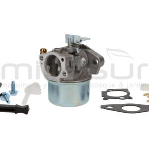 CARBURADOR B&S SERIES 111XXX, 120XXX, 121XXX