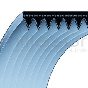 CORREA 572PJ8/225PJ8 EJE CUCHILLAS 18×572 ADAPTABLE A KYNAST 15-E-401, 15-E-402, 15-E-403 CORREA 572PJ8/225PJ8 EJE CUCHILLAS 18×572 ADAPTABLE A KYNAST 15-E-401, 15-E-402, 15-E-403