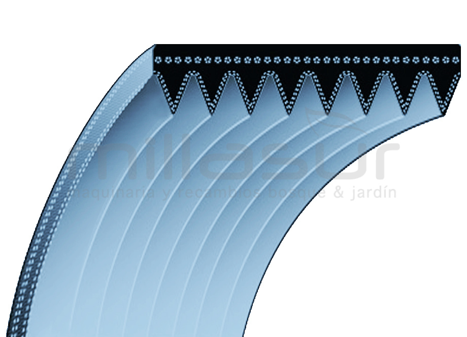 CORREA 572PJ8/225PJ8 EJE CUCHILLAS 18x572 ADAPTABLE A KYNAST 15-E-401, 15-E-402, 15-E-403
