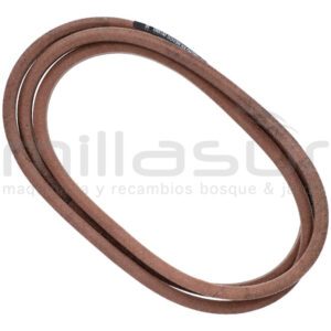CORREA 690071 CORREA 690071