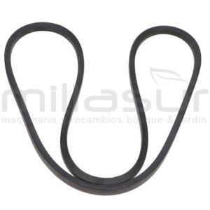 CORREA CORTE 16,8×1907 (LA) ADAPTABLE A MTD 13/96, B145, K675F, H130 CORREA CORTE 16,8×1907 (LA) ADAPTABLE A MTD 13/96, B145, K675F, H130