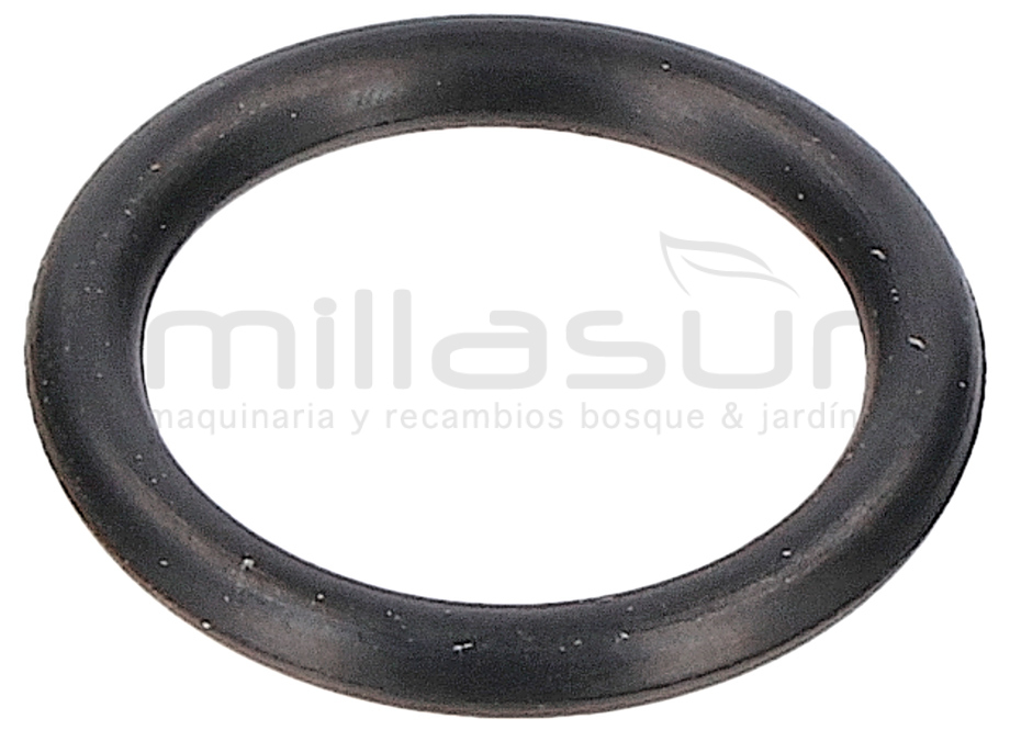 JUNTA TORICA 1,78x10,82 (15)