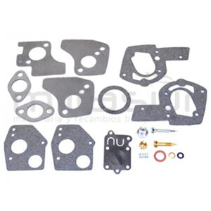 KIT REPARACIÓN COMPLETO CARBURADOR ADAPTABLE A BIGGS & STRATTON 5 HP VERTICAL KIT REPARACIÓN COMPLETO CARBURADOR ADAPTABLE A BIGGS & STRATTON 5 HP VERTICAL