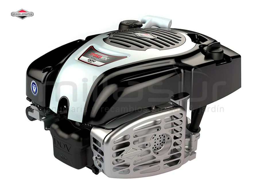 MOTOR B&S DOV 750EX SERIES (Ø22.2 x 61.9) REEMPLAZA A 1008020149H8YY7001