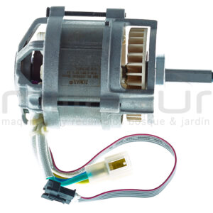 MOTOR MOTOSIERRA E58M10 (1) MOTOR MOTOSIERRA E58M10 (1)