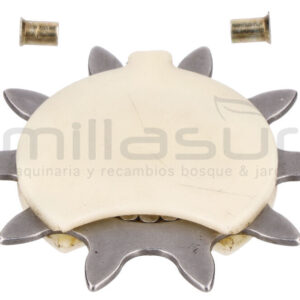 PIÑONES PUNTERA POWER TECH 3/8 x 10 PIÑONES PUNTERA POWER TECH 3/8 x 10