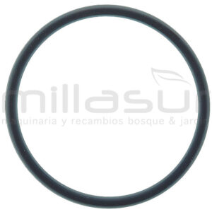 TORICA COLLARIN H1800 (34)