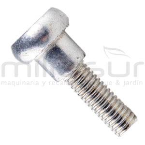 TORNILLO FIJACION ASA M437HXP (44)