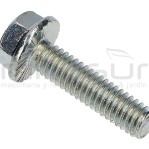 TORNILLO – HEX