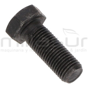 TORNILLO POLEA SALIDA MOTOR BIO150S (52)