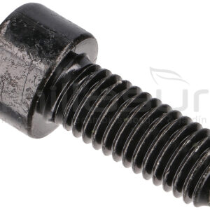 TORNILLO TAPA LATERAL M8X20 H2200 (12)