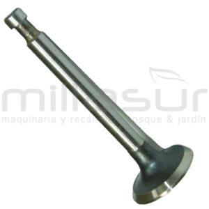 VÁLVULA ADMISIÓN HONDA GX110/120