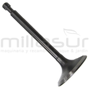 VÁLVULA ADMISIÓN HONDA GX390