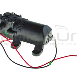 BOMBA AGUA P25B ( 29)
