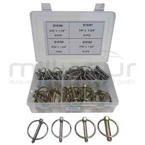 CAJA PASADORES (50 PCS)