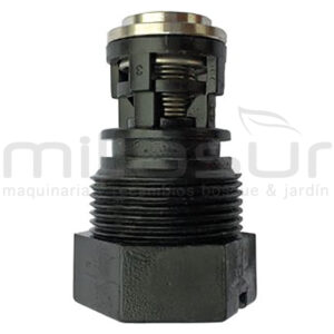 TAPON VALVULA COMPLETA BOMBA P100-187 (201)
