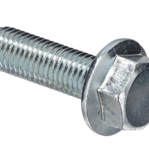 TORNILLO CIGÜEÑAL (173)