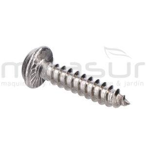 TORNILLO TAPA MOTOR RC2000 (2)