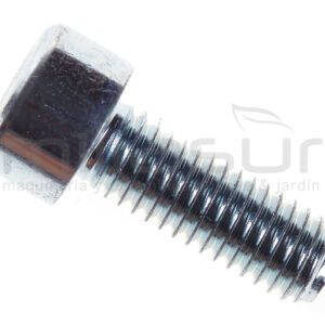 TORNILLO TOMA ADMISION MG3800 (8)
