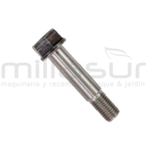 TORNILLO
